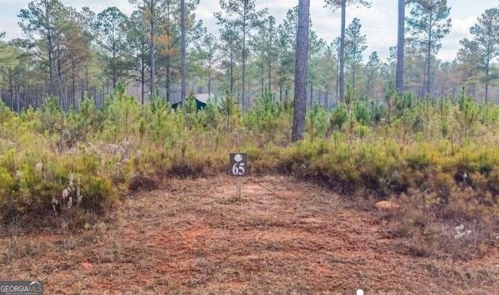 Property Photo:  Lot 65 High River Landing  GA 30540 