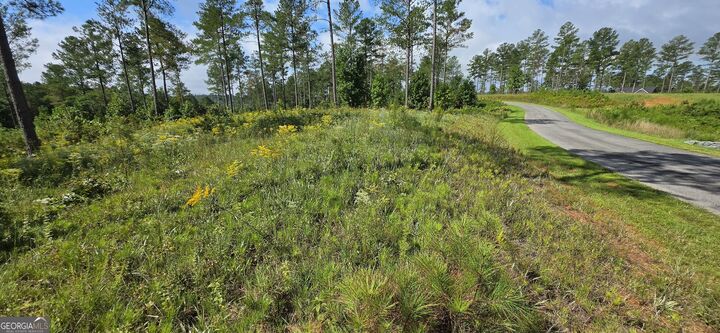 Property Photo:  Lot 65 High River Landing  GA 30540 