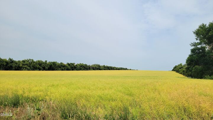 Property Photo:  Tracts 2&3 66th Street SE  ND 58501 