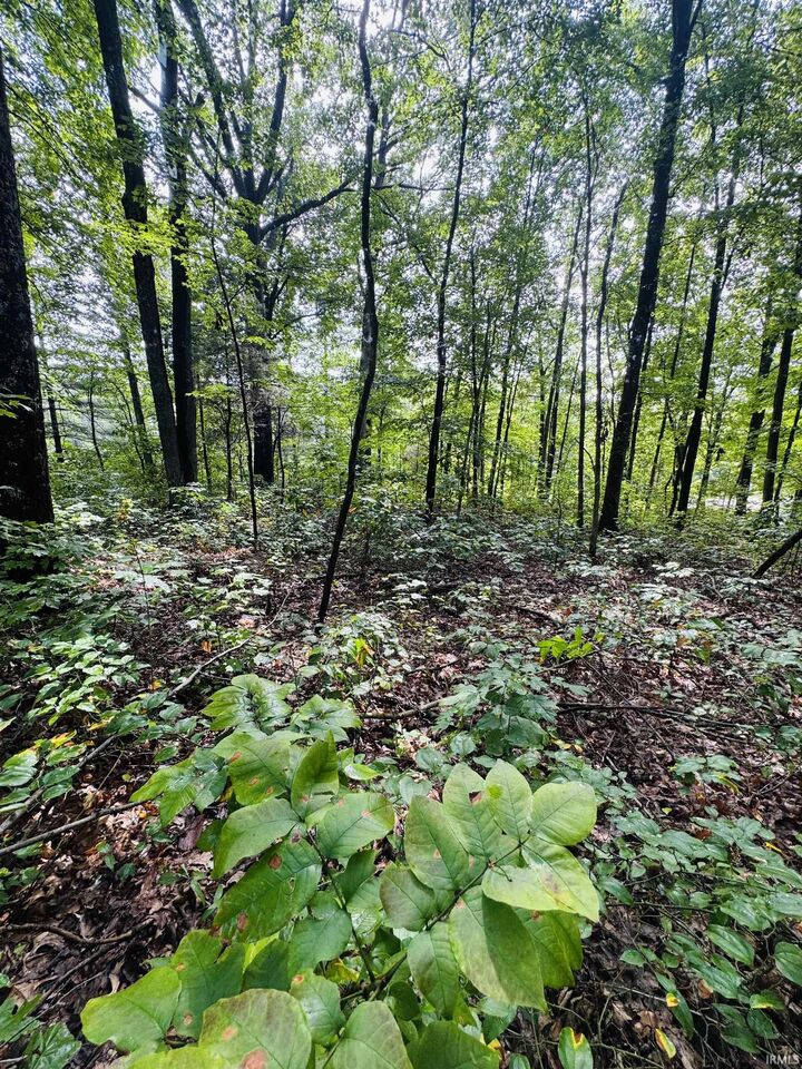Property Photo:  0 State Road 45 Highway  IN 47424 