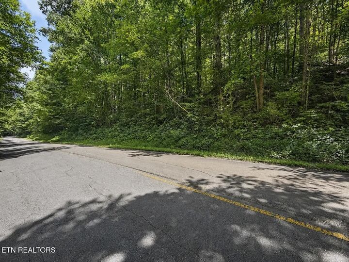 Property Photo:  Johnson Valley Rd  TN 37846 