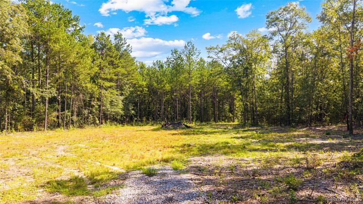 Property Photo: 1988 County Road 19 N AL 36067