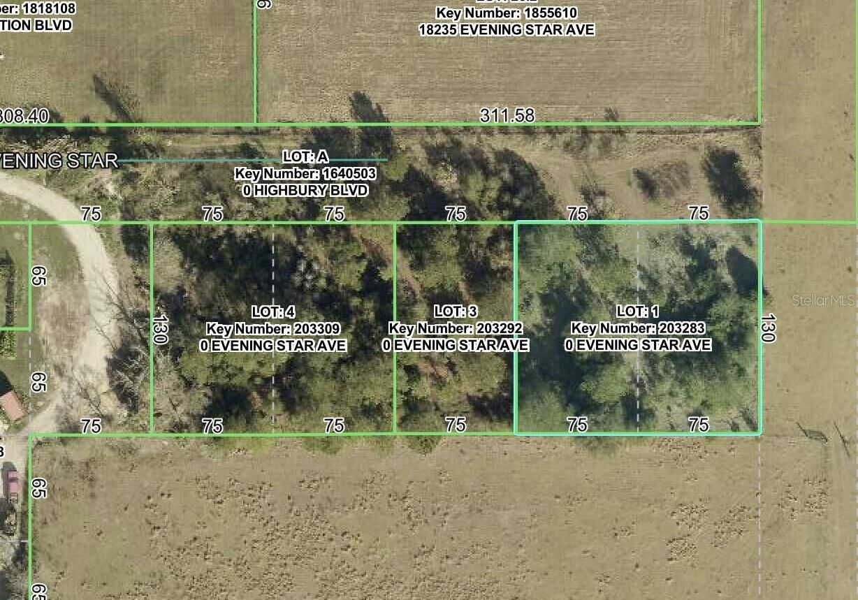 Property Photo: Evening Star Avenue FL 34604