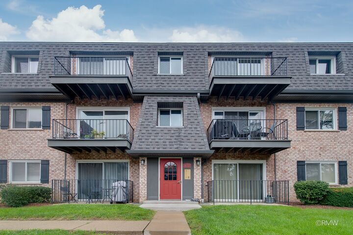 Property Photo:  872 S Plum Grove Road 305  IL 60067 