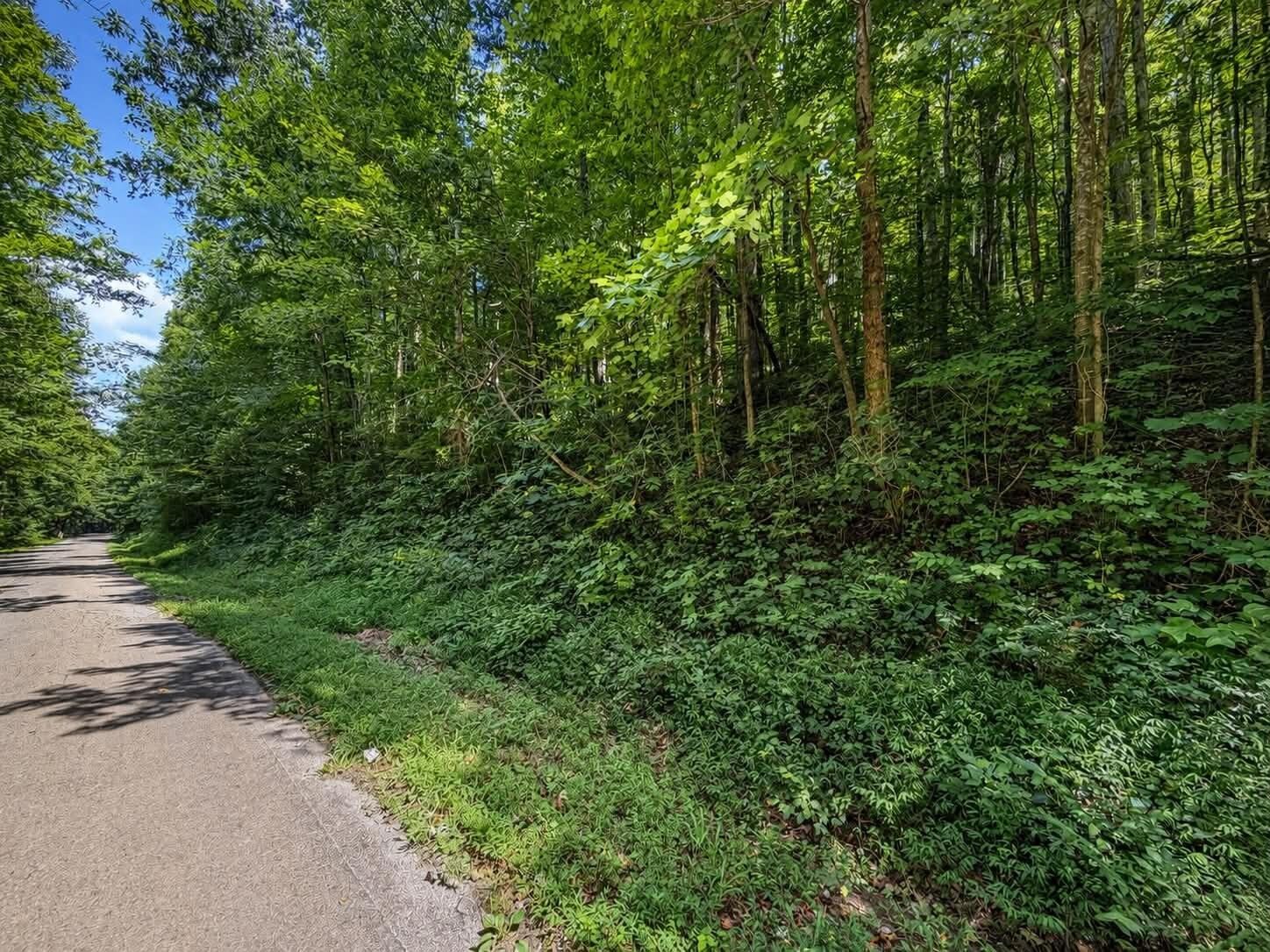 Property Photo: 0 Johnson Valley Road TN 37846