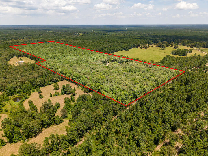 Property Photo: 1647 Whitehead Road TX 75901