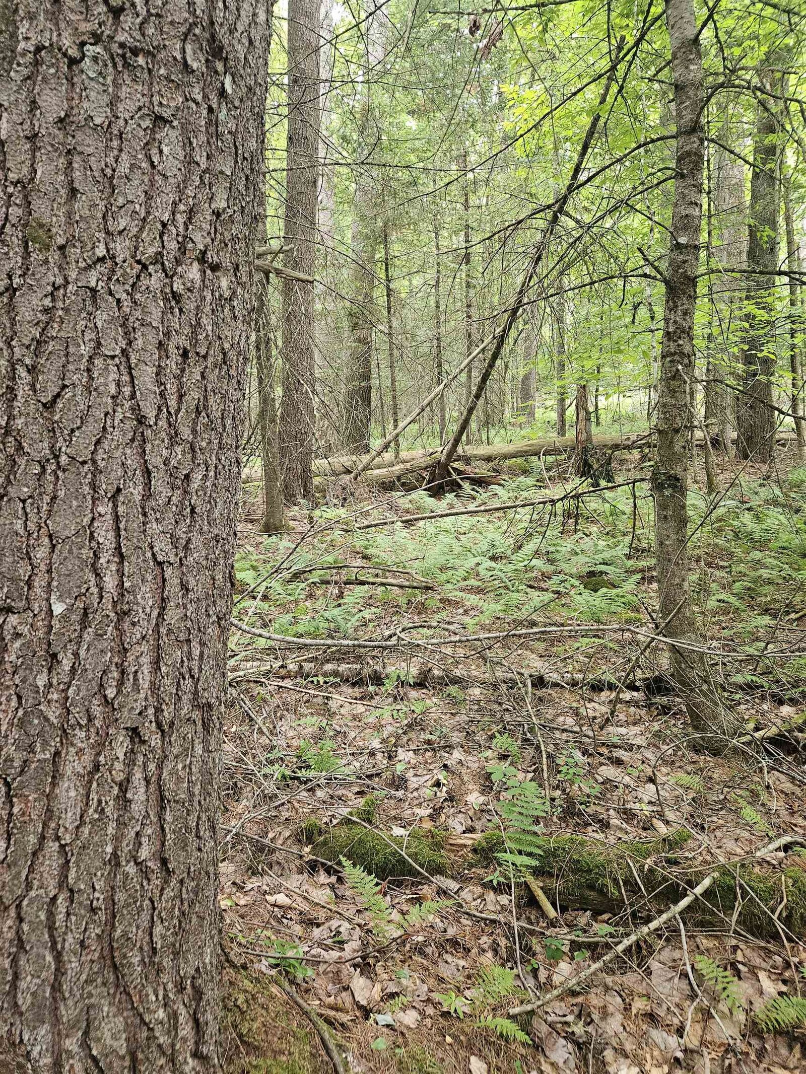 Property Photo:  00 Straford Drive  NH 03785 