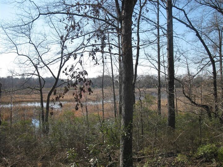 Property Photo: Tbd 133 Ac +- Vz County Road 4701 TX 75754