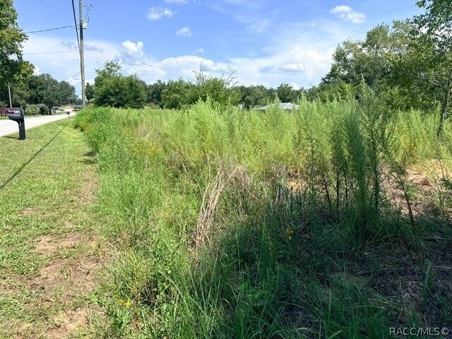 Property Photo:  4008 E Allendale Street  FL 34453 