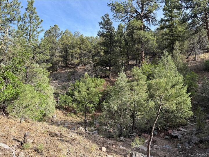 Property Photo: 594 Maurice Drive CO 81223