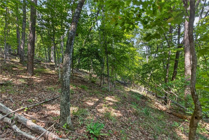 Property Photo:  206 Shipmaster Drive  SC 29676 