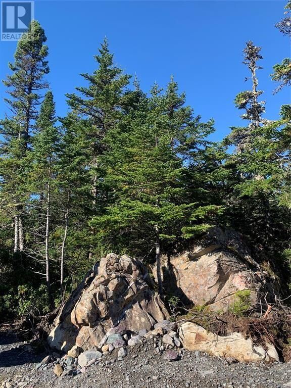 Property Photo:  Lot 5 Halleran Trail  NL A0B 1G0 