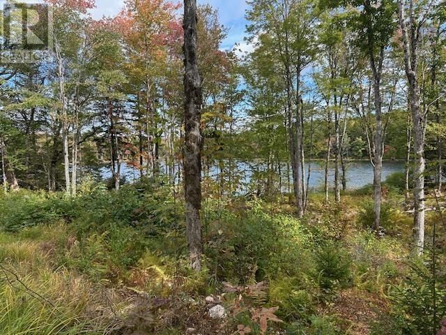 Property Photo:  Lot 4 Lakeshore Drive  NS B0J 2M0 