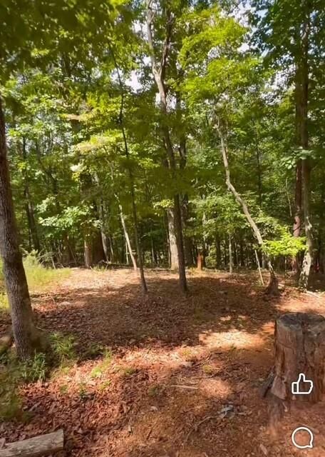 Property Photo: 0 Rusty G Place GA 30534