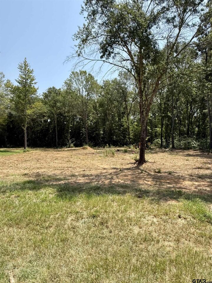 Property Photo: 17184 Cr 479 (Lot 2) TX 75771