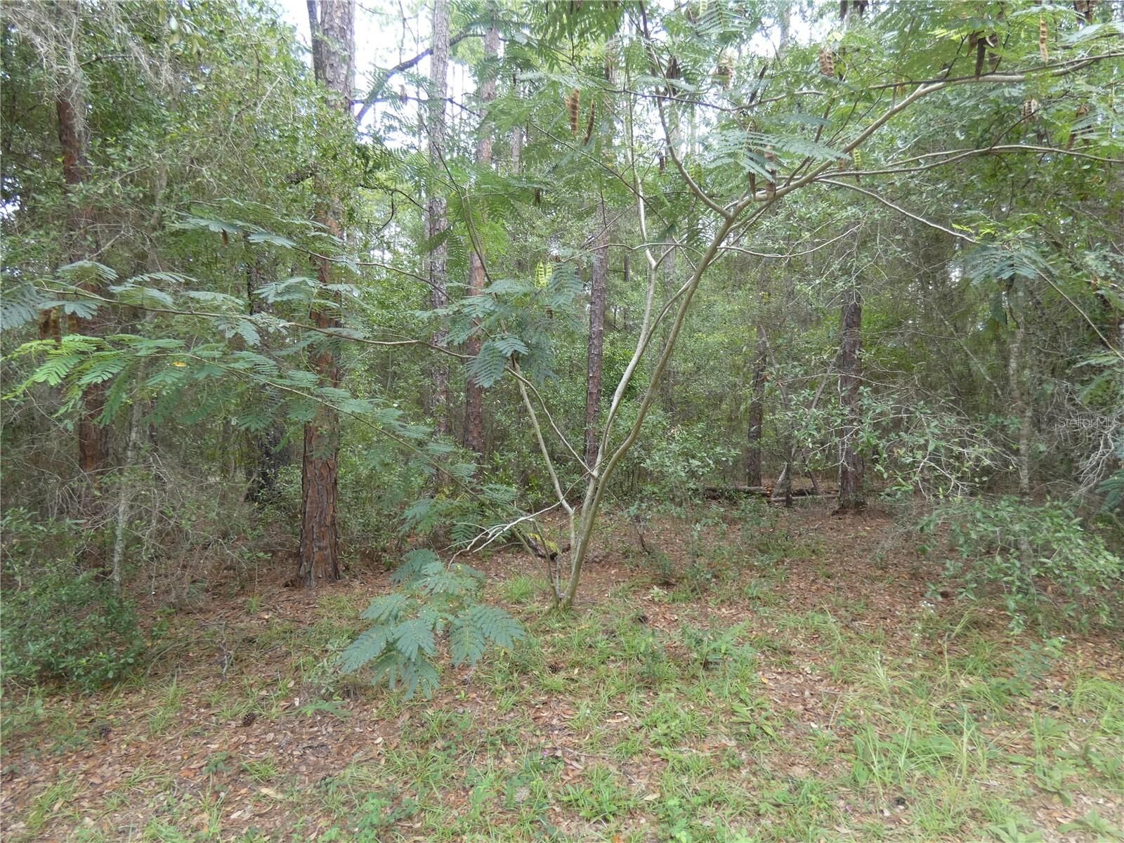 Property Photo:  10061 N Biscayne Drive  FL 34434 