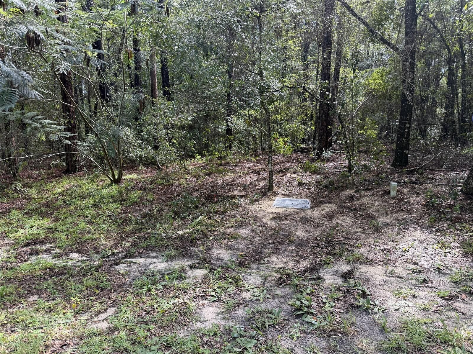 Property Photo:  10061 N Biscayne Drive  FL 34434 
