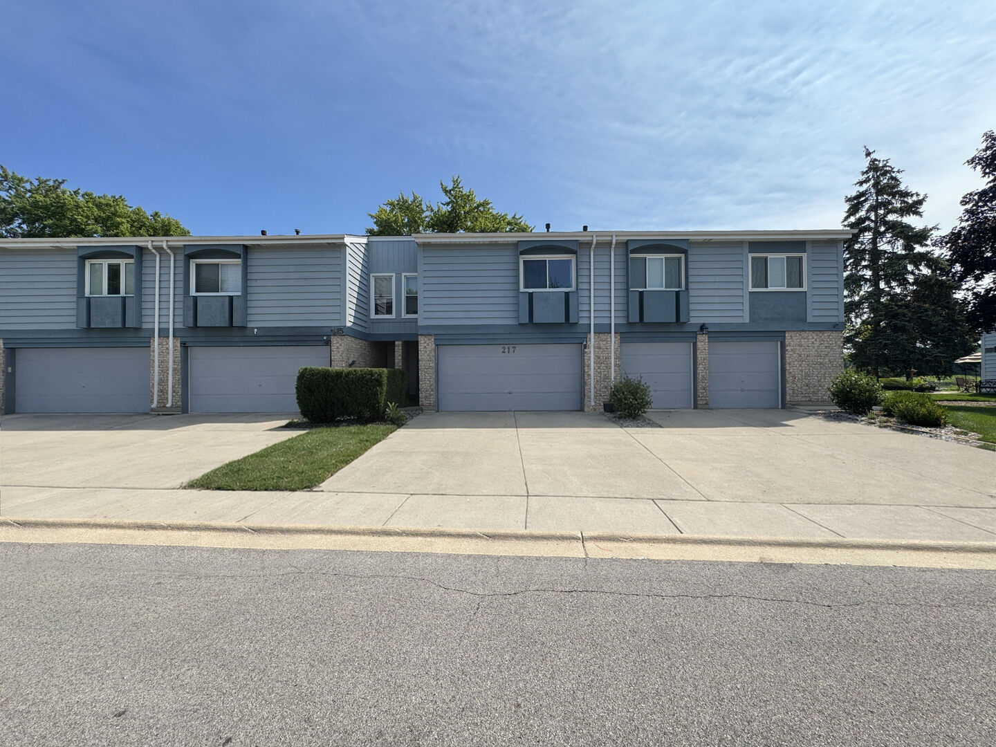 Property Photo: 217 Lakeshore Lane IL 60108