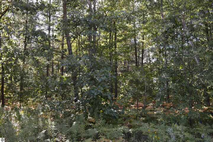 Property Photo: 2080 Driftwood Lane MI 49646