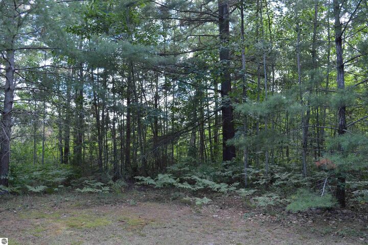 Property Photo:  8430 NE Grass Lake Road  MI 49646 