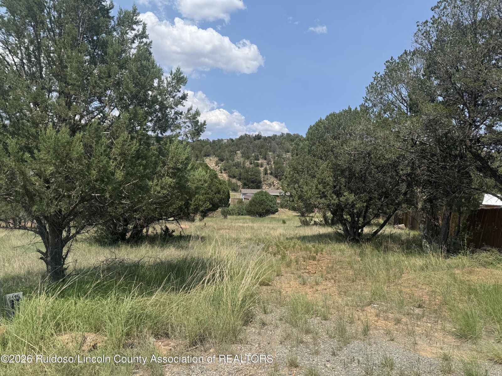 Property Photo:  118 Cowboy Court  NM 88312 