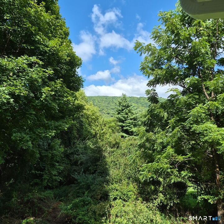 Property Photo:  119 Upland Road  CT 06776 