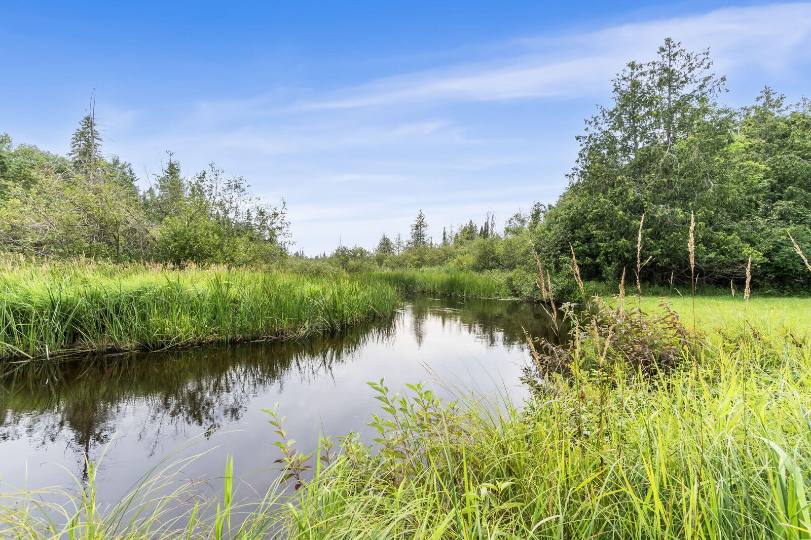Property Photo:  13597 Orcutt Highway  MI 49759 