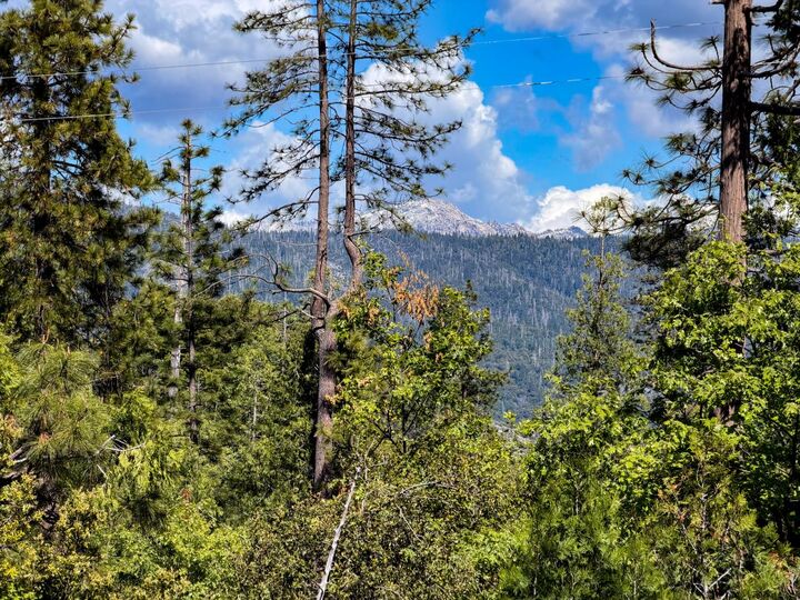 Property Photo:  39420 Manzanita Drive  CA 93644 