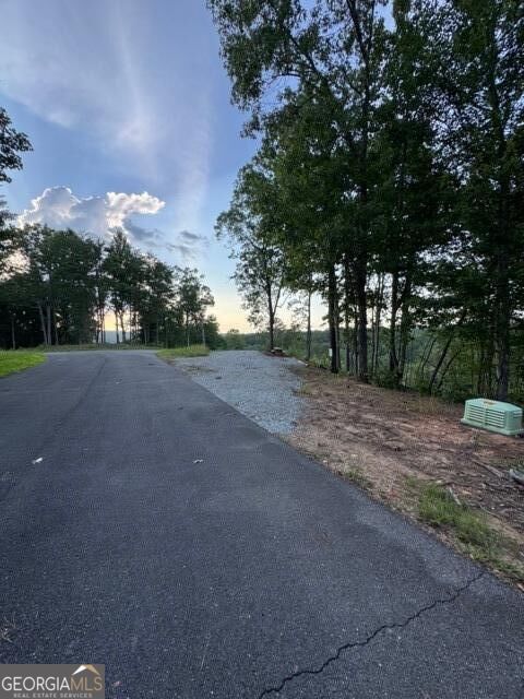 Property Photo: 290 Eagle View Dr - Lot #20 GA 30540
