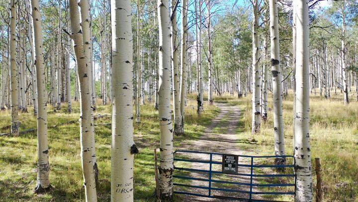 Property Photo: 49.72 Acres UT 84720