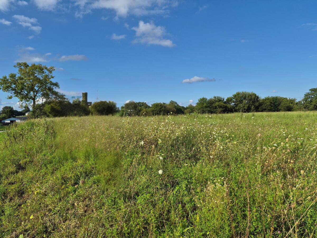 Property Photo:  4 Bohannon Road  KY 40057 