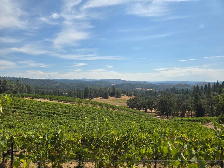 Property Photo: 4180 Pleasant Valley Road CA 95667