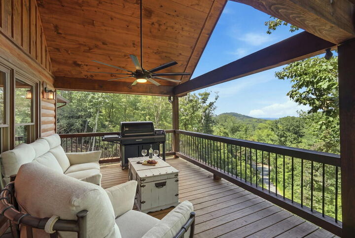 Property Photo:  175 Stuart Drive  GA 30559 