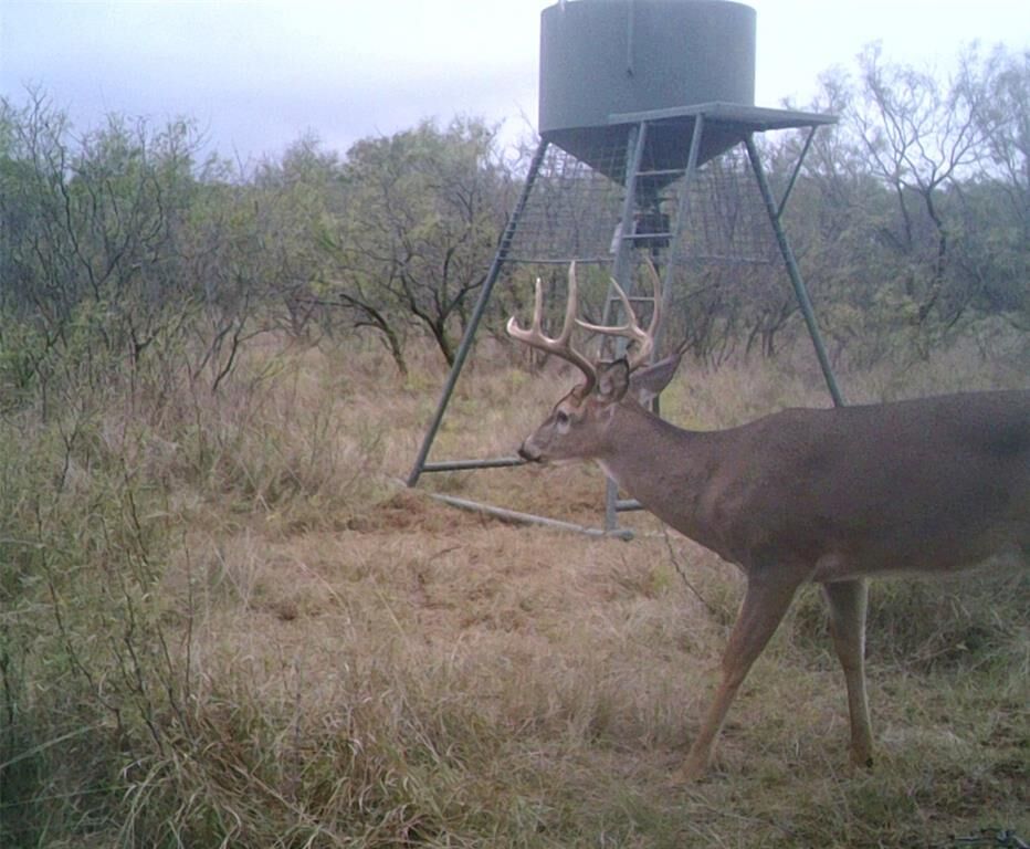 Property Photo:  Tbd Fm 2321 Tract 2  TX 76228 