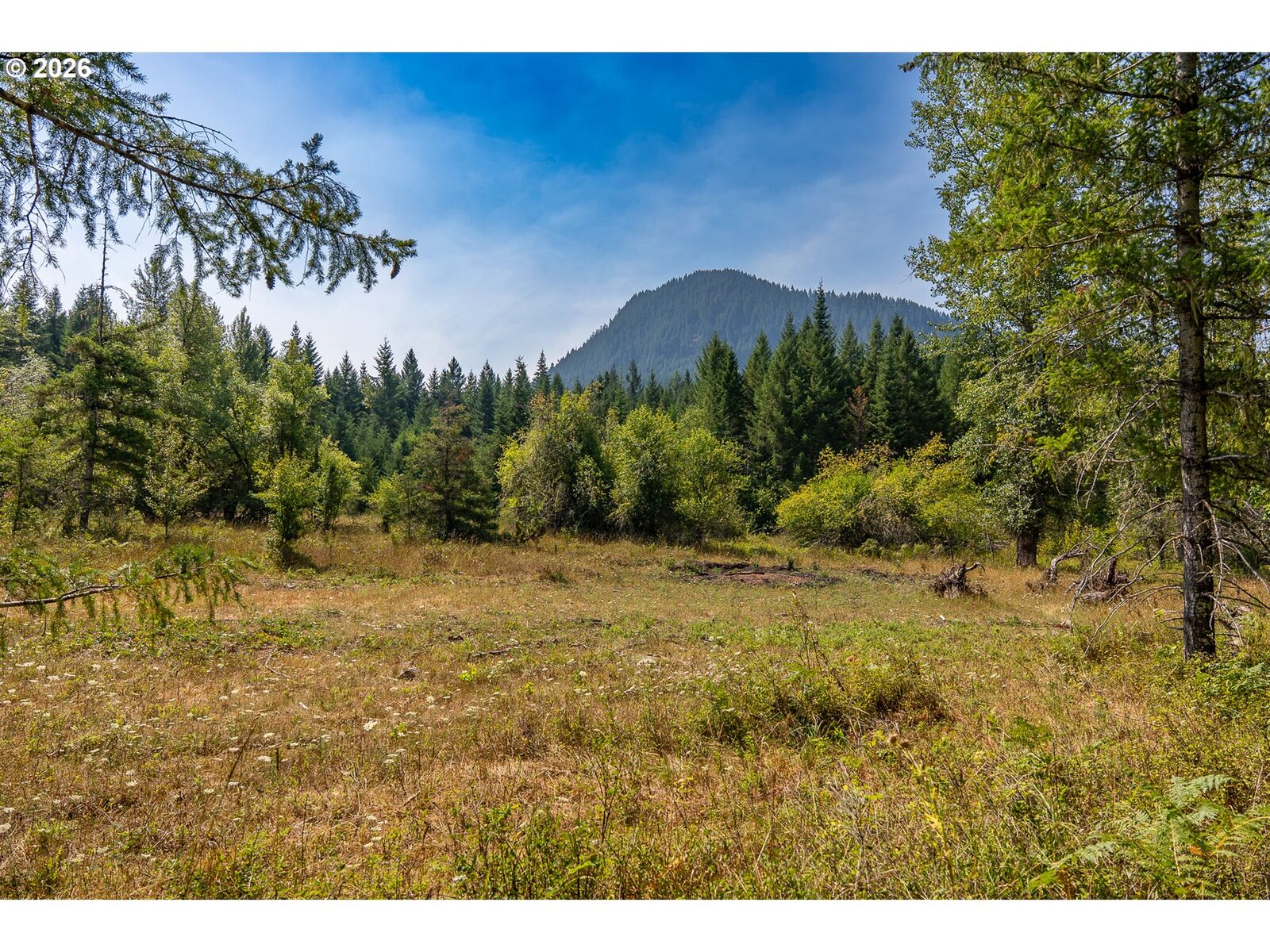 Property Photo: Hawk Meadows Rd 5 WA 98610