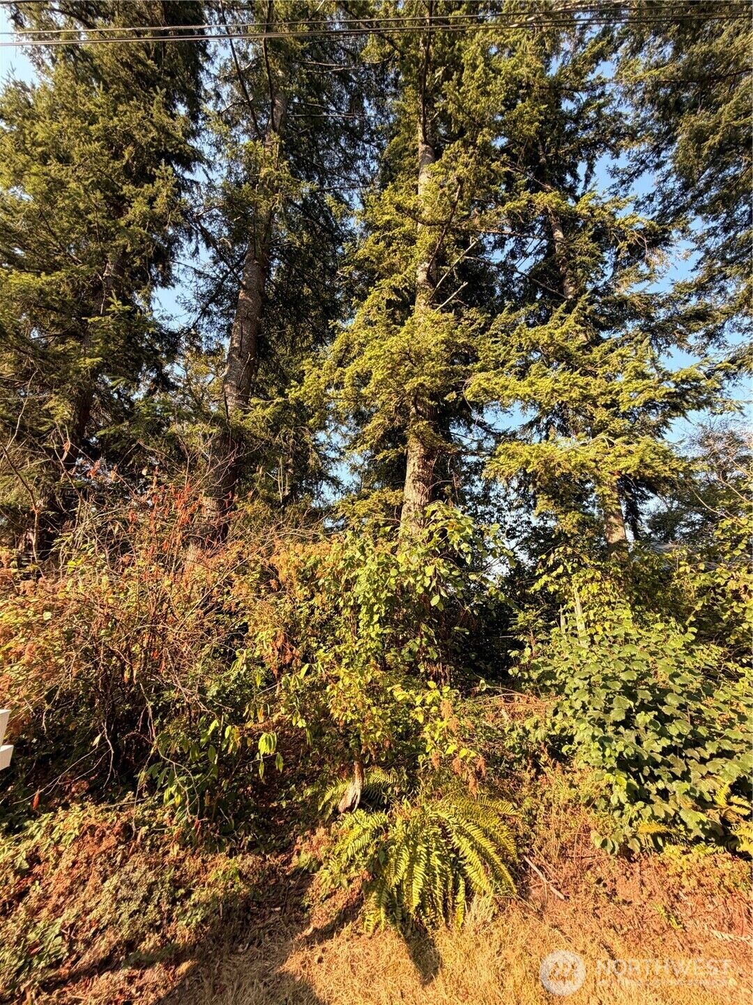 Property Photo:  15620  Goldbar Drive  WA 98251 
