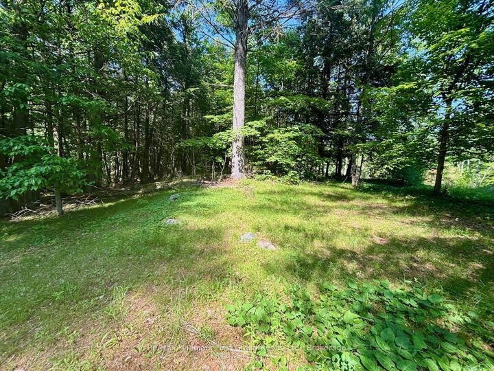 Property Photo:  2495 Flinton Road  ON K0H 1P0 