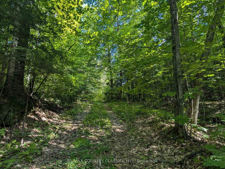 Property Photo:  3557 Mountainview Road  ON K0J 2A0 