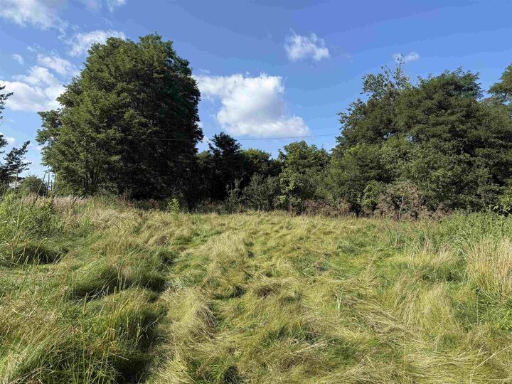 Property Photo: 4782 Kentucky 596 Highway KY 41044