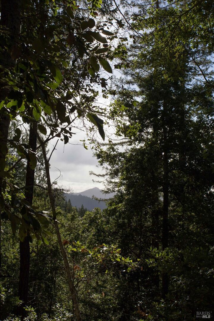 Property Photo:  27048 Ridge Road  CA 95490 