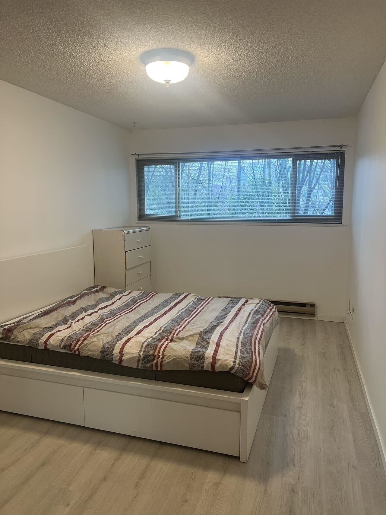 Property Photo:  8291 Park Road  BC V6Y 1T3 