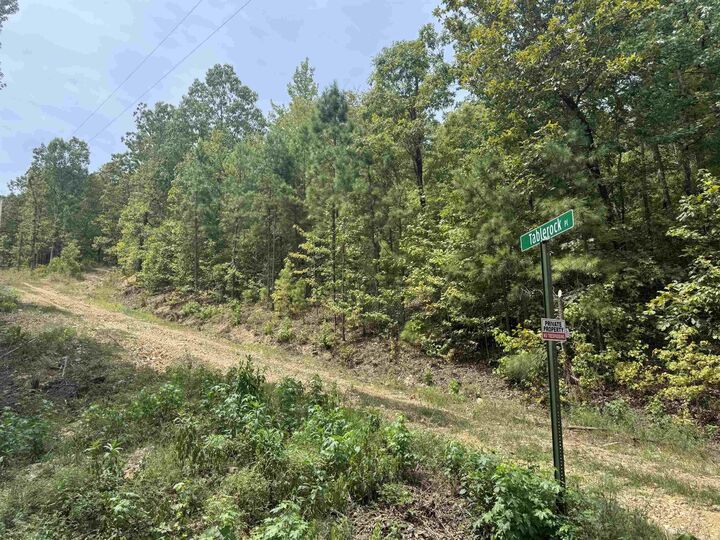 Property Photo: 112 Tablerock Place AR 71901