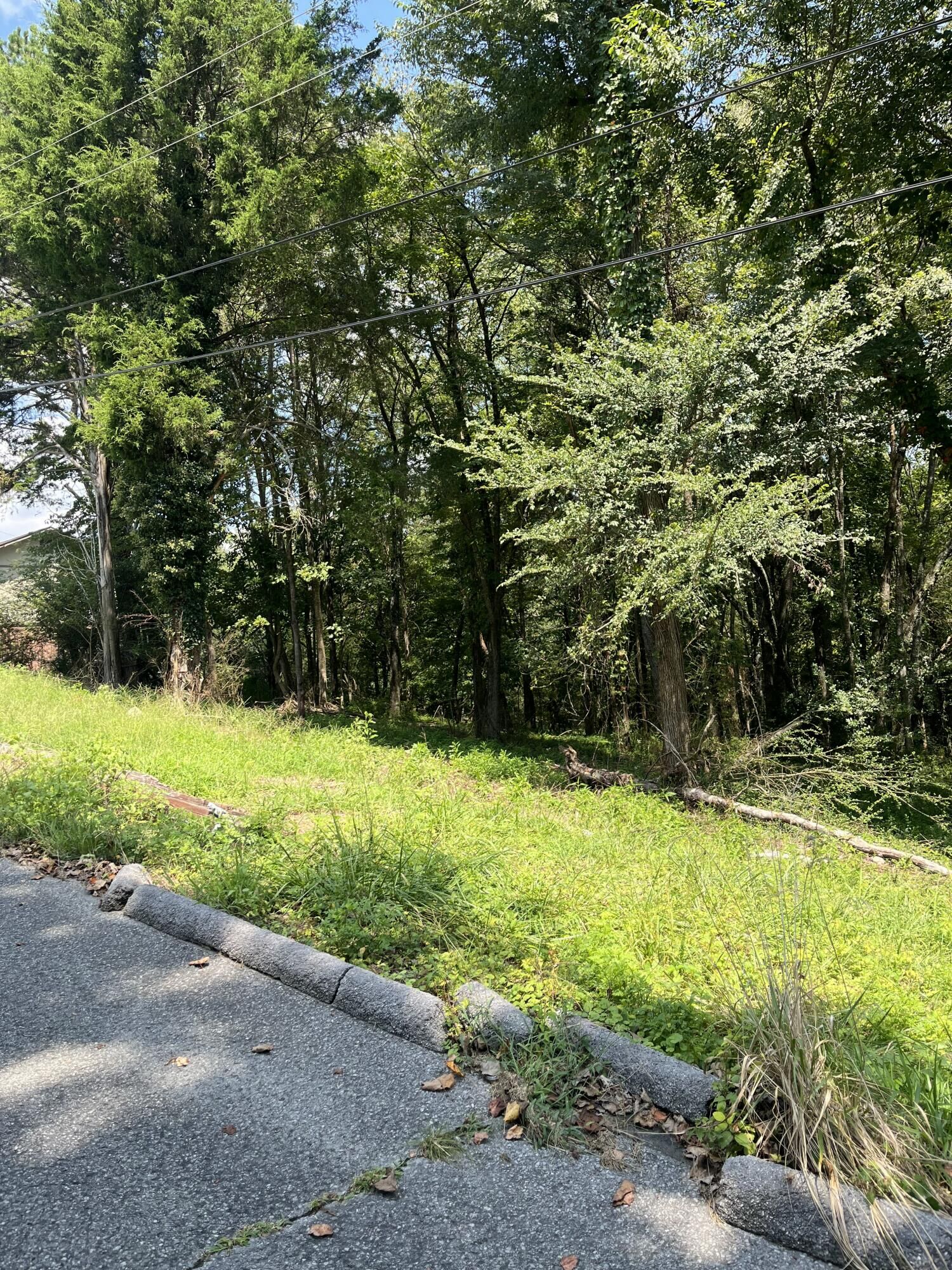 Property Photo: 0 Sierra Drive TN 37321