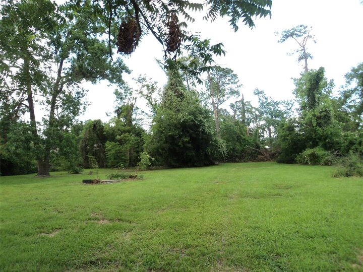 Property Photo: 6729 Kittridge Street TX 77028