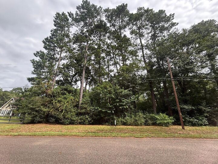 Property Photo: Lot 126 Fantail Street TX 77355
