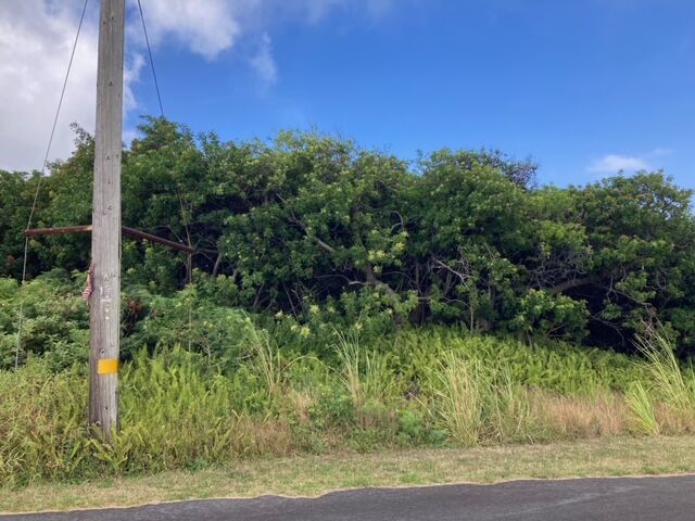 Property Photo:  Kaulua St  HI 96772 