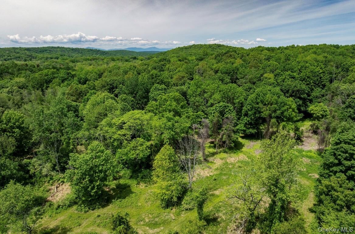Property Photo: 00 Route 7 NY 12516