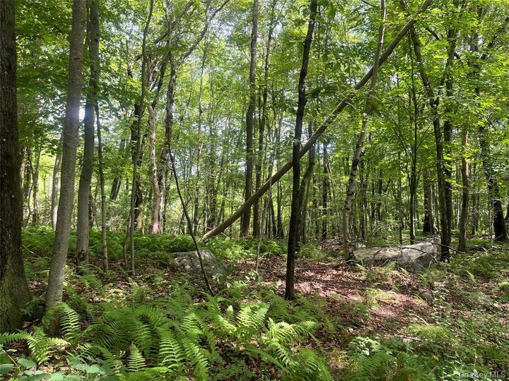 Property Photo: 34 McManus Road S NY 12563