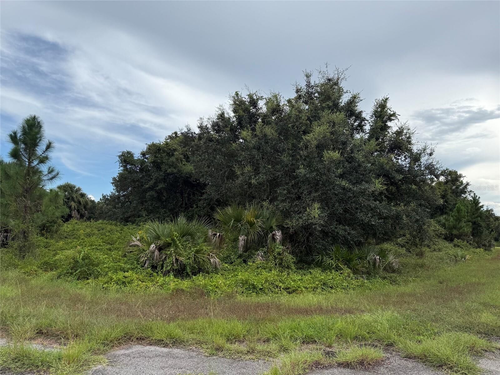 Property Photo: Lot 1 Gaskins Circle FL 34288