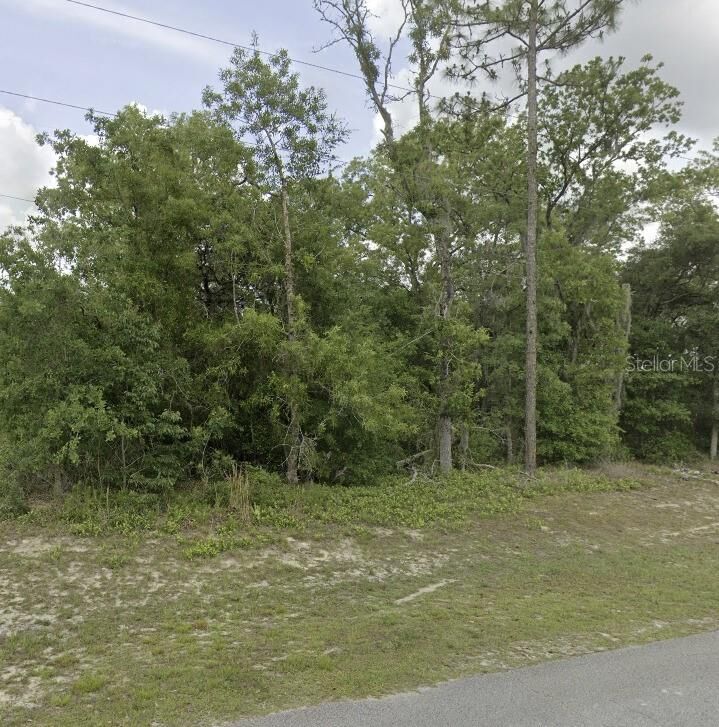 Property Photo: Lot 4 SW 155 Place FL 34473
